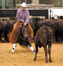 Nic It In The Bud - Photos by Cappy Jackson